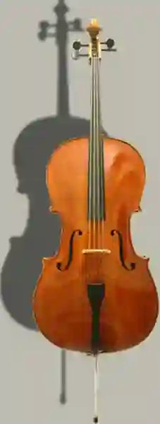 Vorderansicht vom Cello