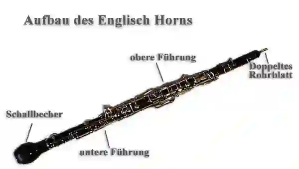 Vorder- und Seitenansicht vom Englisch Horn