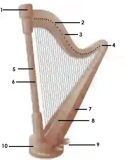 Front and side view of a harp