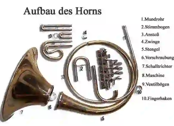 Vorder- und Seitenansicht vom Horn in F