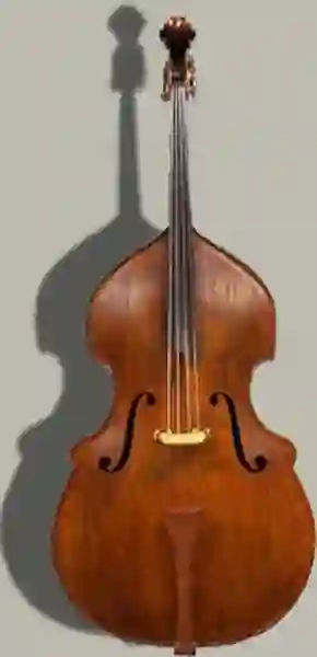 Front view of the double bass
