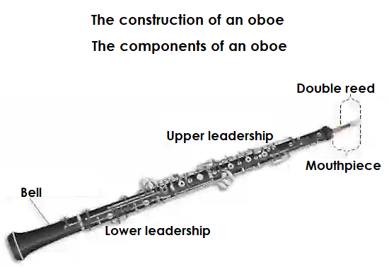 Front and side view of an oboe