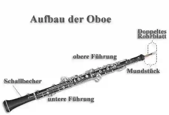 Vorder- und Seitenansicht einer Oboe