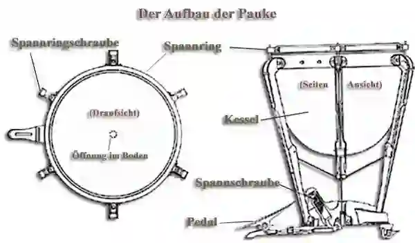 Vorder- und Seitenansicht einer Pauke