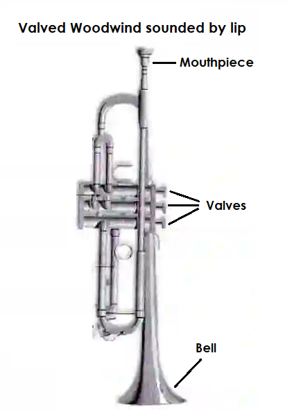 Front and side view of a trumpet