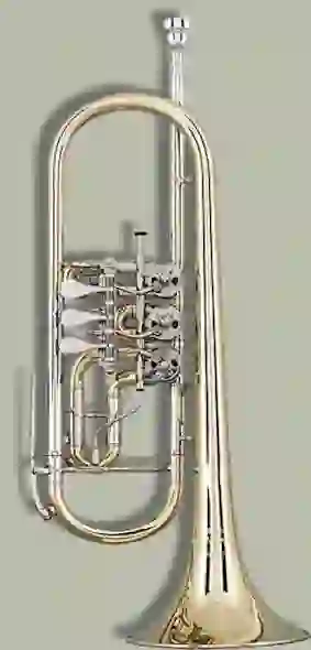 Trumpet front view