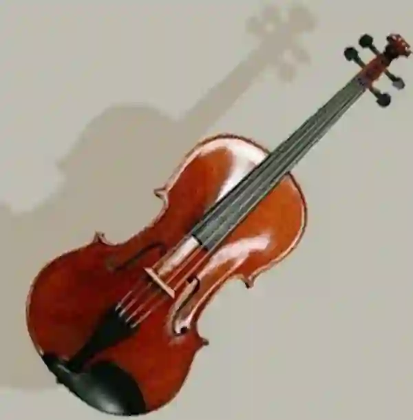 Front view of the viola