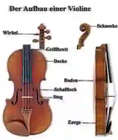 Vorder- und Seitenansicht einer Violine