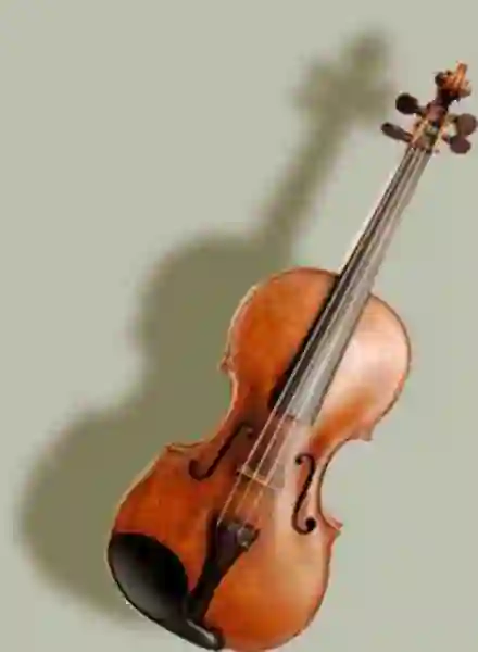 Front view of the violin