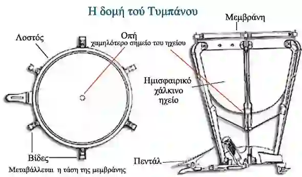 Το Βιολί - Δομή και λειτουργία - Μεγάλη οθόνη