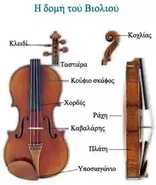 Το Βιολί - Δομή και λειτουργία - Μεγάλη οθόνη
